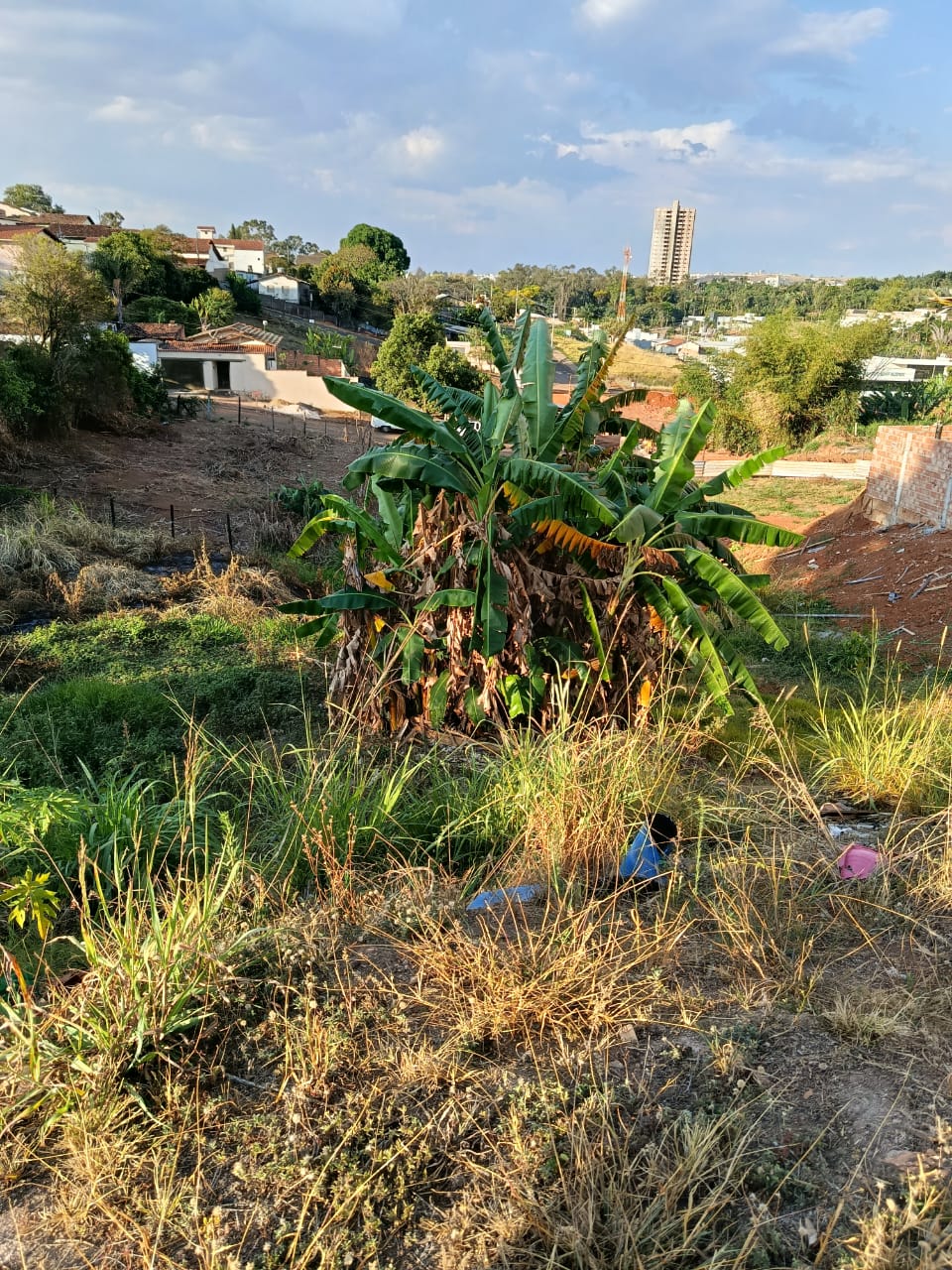 Terreno 450m Vila Silvéria - Imagem 4